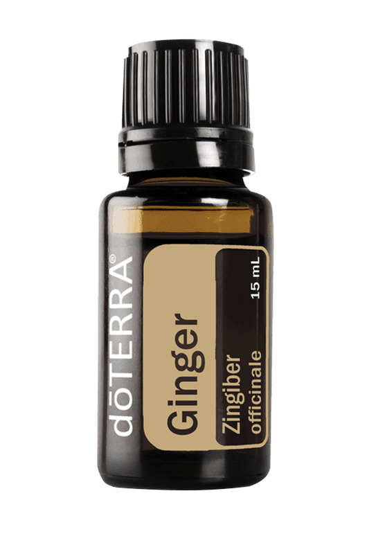 Ginger Essential Oil Pure - Doterra 15ml