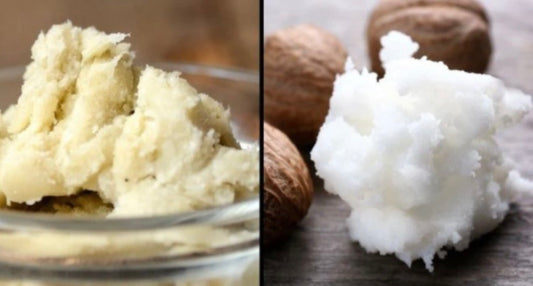 Shea Butter Refined